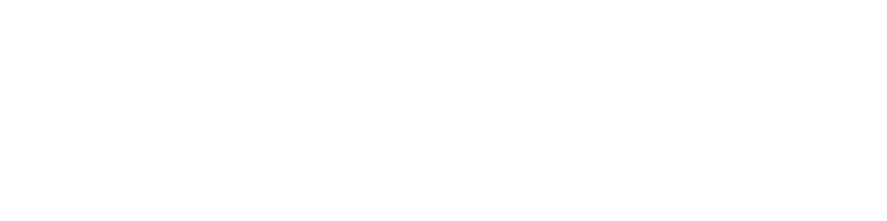 Conway-white logo