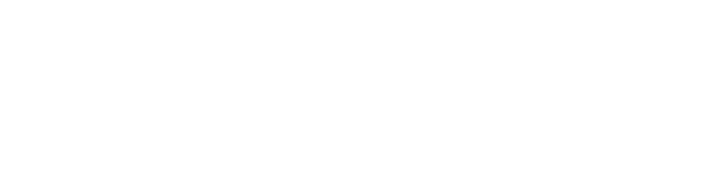 Feline VMA-white logo