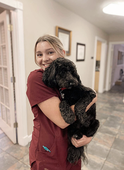 A veterinarian holding a black poodle