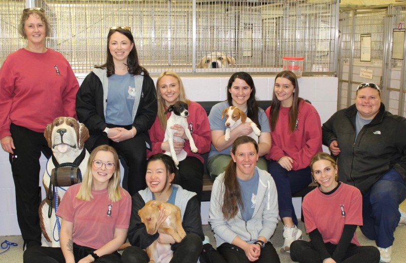 Group photo at dog adoption event.