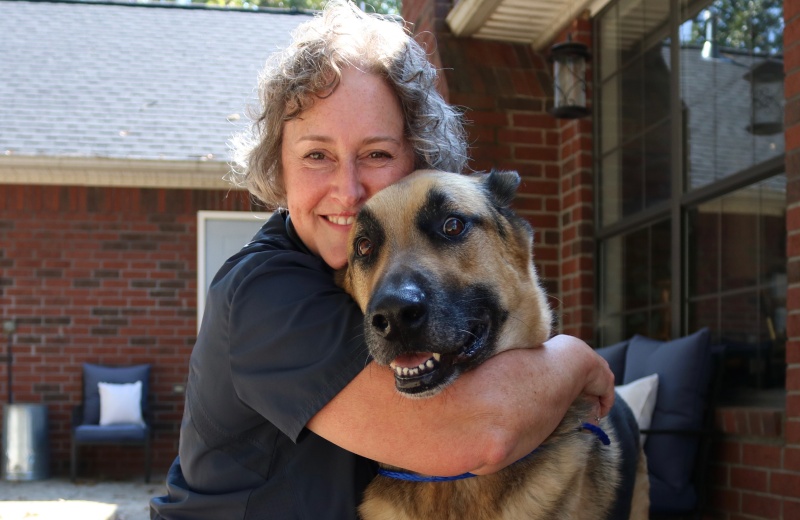 Person hugs happy German Shepherd.