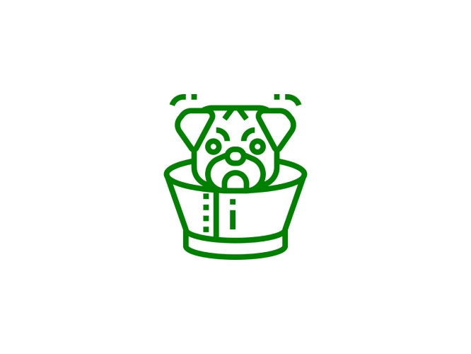 Pet pain icon