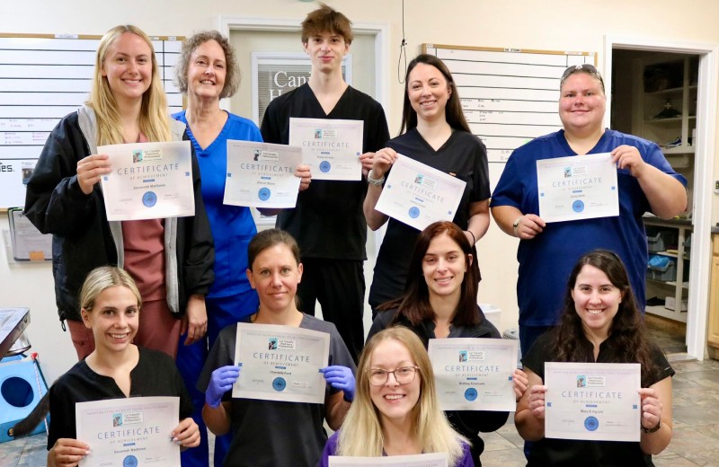 Veterinary team holding achievement certificates.